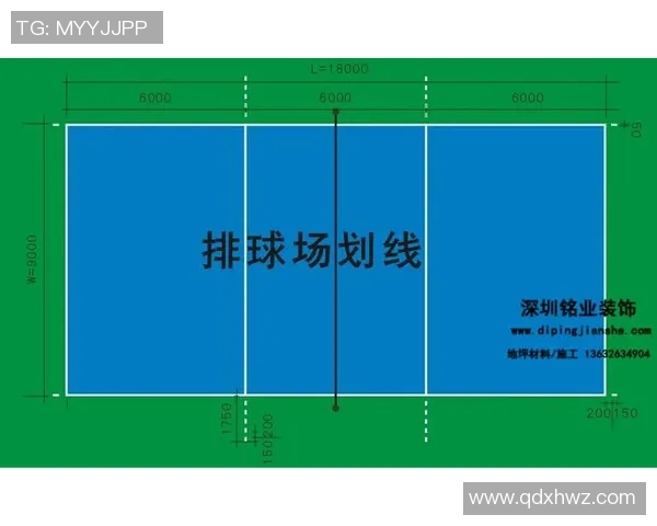广州排球队实力分析与表现评估的深度研究与探讨