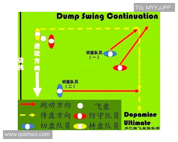 飞盘新手必看：全面配合技巧与入门指南助你快速上手